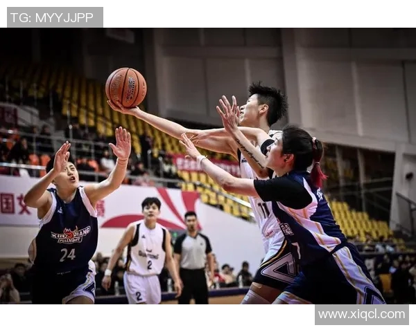 CBA精彩对决辽宁队与青岛队的1617赛季巅峰之战回顾